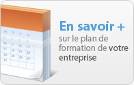 plan formation professionnelle entreprise